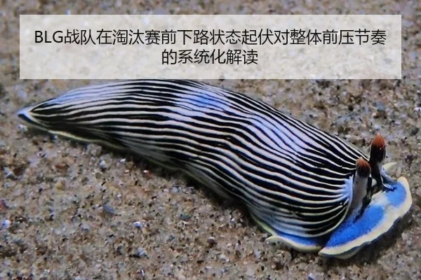 BLG战队在淘汰赛前下路状态起伏对整体前压节奏的系统化解读