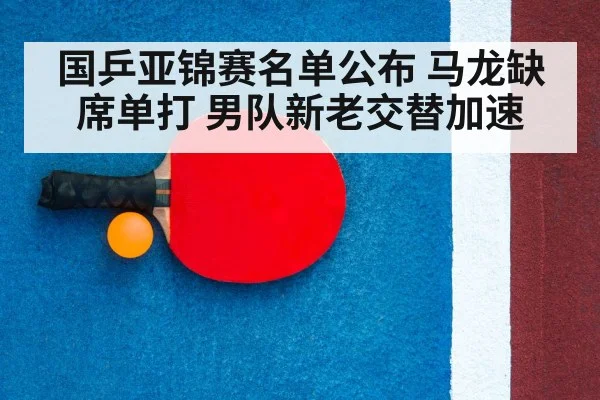 table tennis racket